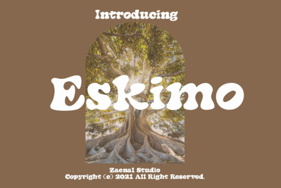Eskimo: A Trendy Display Font for Bold Branding